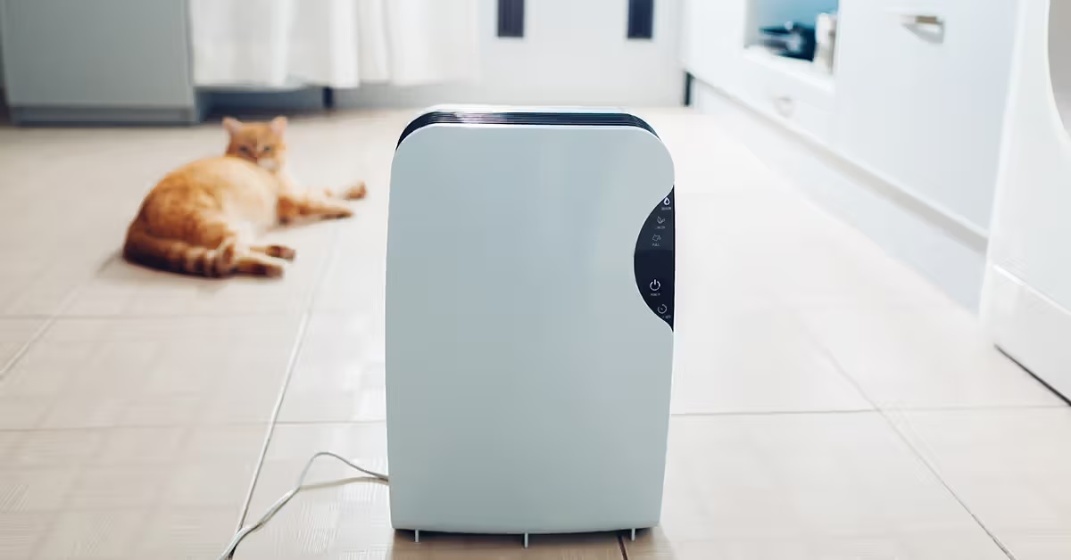 Beyond the Filter: Mastering Indoor Humidity to Make Your Air Purifier Work Smarter (Not Harder)