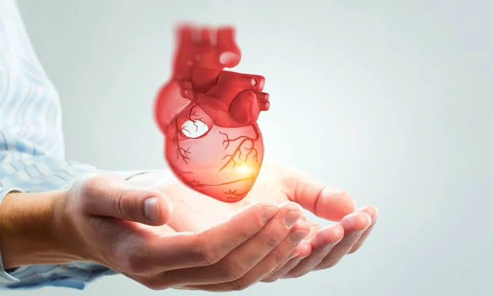 How to Choose the Best Ayurvedic Doctor in Pune